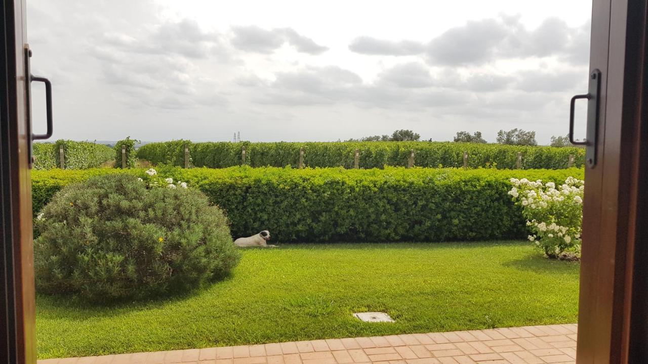 Il Casale Degli Ulivi - Agriturismo - Tenimenti Leone Lanuvio Exterior photo