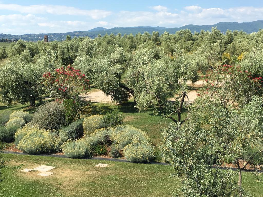 Il Casale Degli Ulivi - Agriturismo - Tenimenti Leone Lanuvio Exterior photo