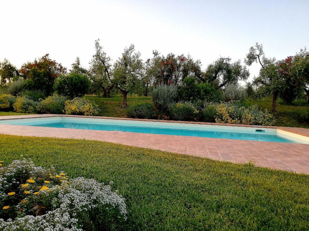 Il Casale Degli Ulivi - Agriturismo - Tenimenti Leone Lanuvio Exterior photo